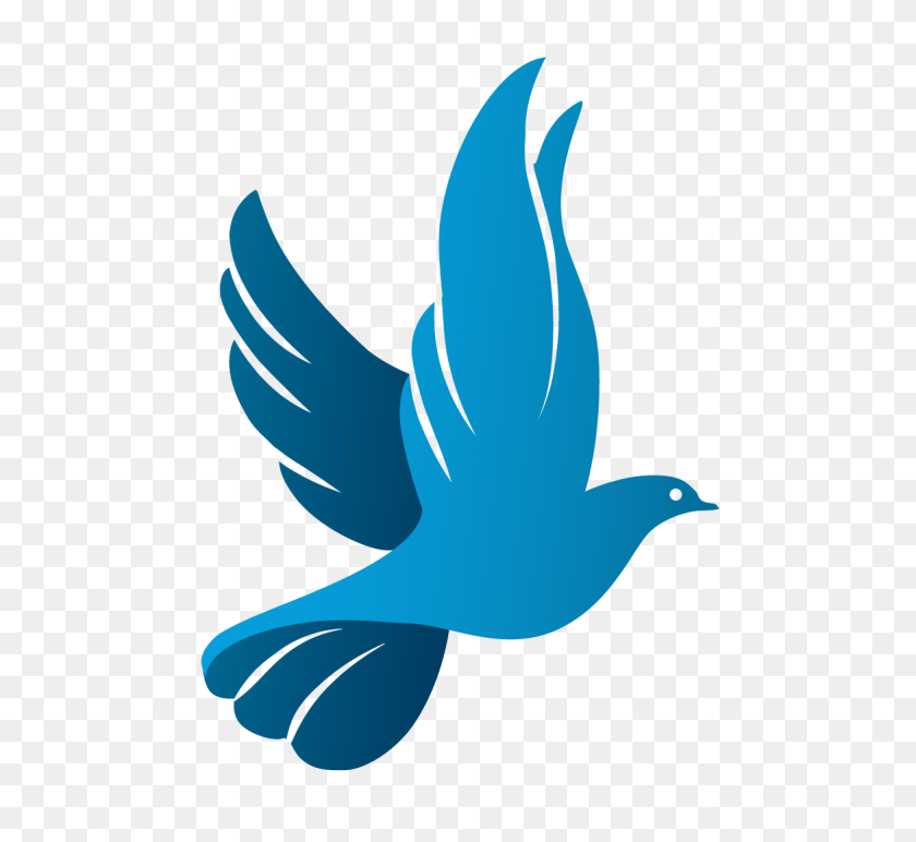 Afbeeldingsresultaat Voor Church Dove Logo Design Nkhazie - Dove Logo PNG