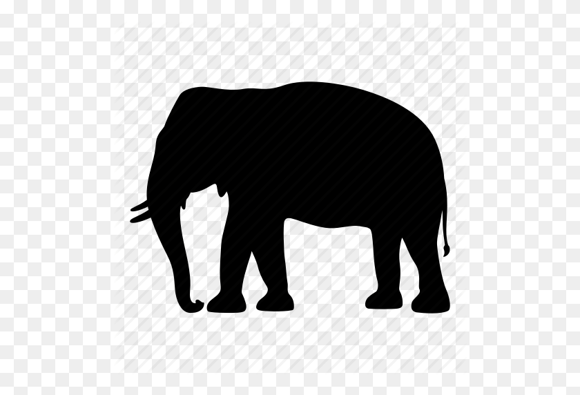 512x512 África, Animal, Elefante, India, Safari, Silueta, Icono Salvaje - Silueta De África Png