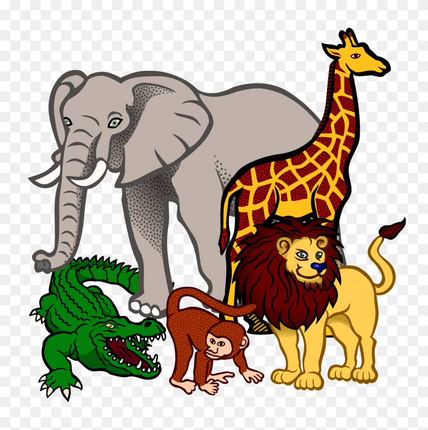 2384x2400 Animales Africanos - Africano Png