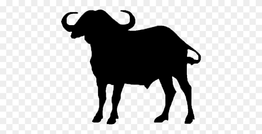 450x372 African Buffalo Clipart Clip Art - Cow Clipart Silhouette