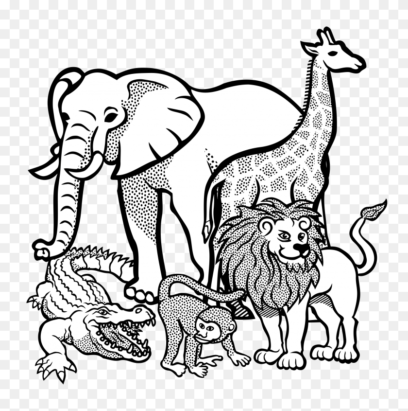 2382x2400 Imágenes Prediseñadas De Búfalo Africano - Imágenes Prediseñadas De Elefante