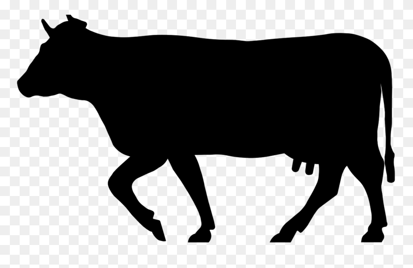 1368x855 African Buffalo Silhouette Hot Trending Now - Buffalo Clipart Black And White