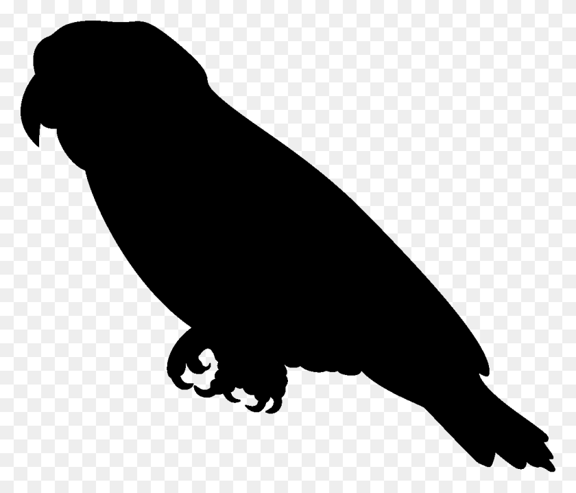 1094x923 African Grey Parrot Clipart Silhouette - Africa Silhouette PNG