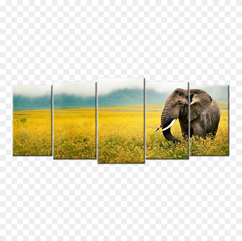 1000x1000 African Landscape Wildlife Canvas Elephant Grass Field Walk Sky - Grass Field PNG