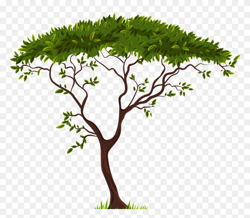 5000x4307 African Tree Png For Free Download On Ya Webdesign - Real Tree Clipart