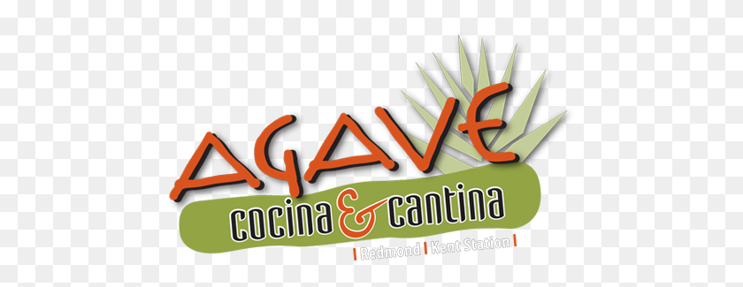 470x265 Agave Cocina Cantina Cocina Mexicana Contemporánea - Agave Png