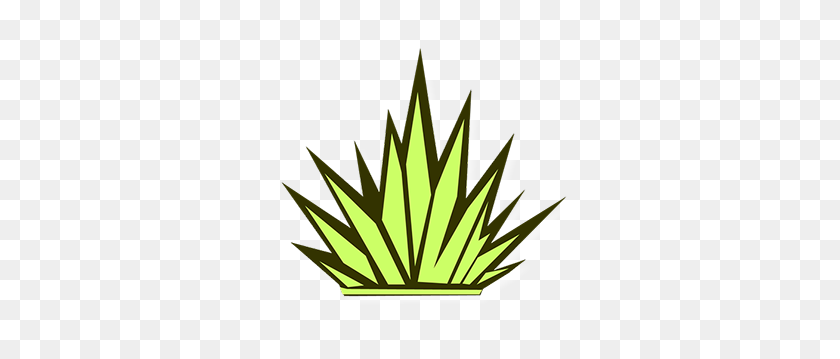 309x299 Agave Kitchen + Bar - Agave PNG