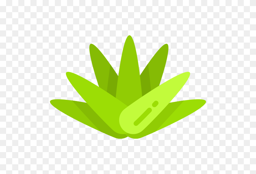 512x512 Iconos Y Gráficos De Agave Png - Agave Png