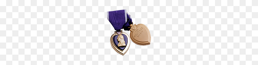 146x154 Agif Of Colorado Purple Heart - Purple Heart PNG