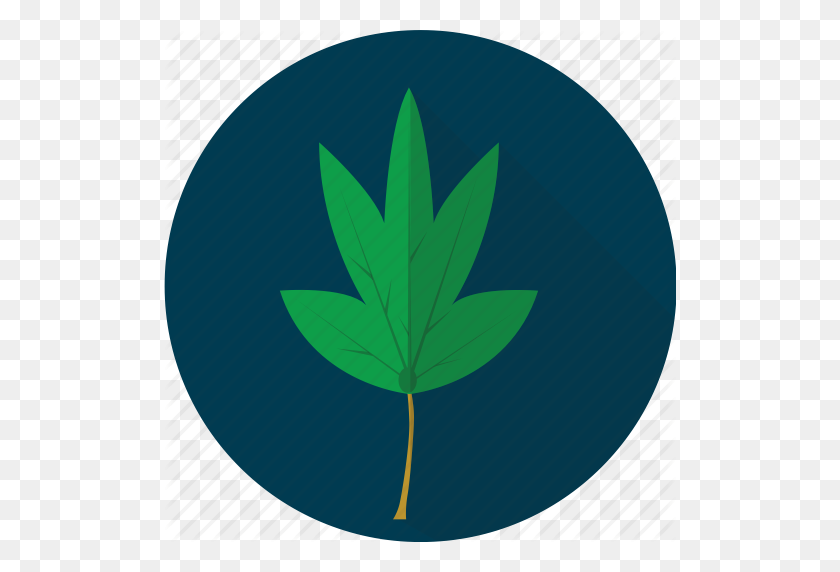 512x512 Agriculture, Cassava, Leaf, Leaves, Plant, Tropical, Vegetables Icon - Tropical Leaves PNG