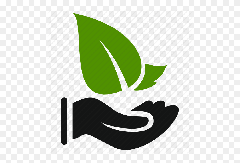 512x512 Agriculture, Ecology, Green, Hand, Leaf, Leaves, Natural Icon - Leaf Icon PNG