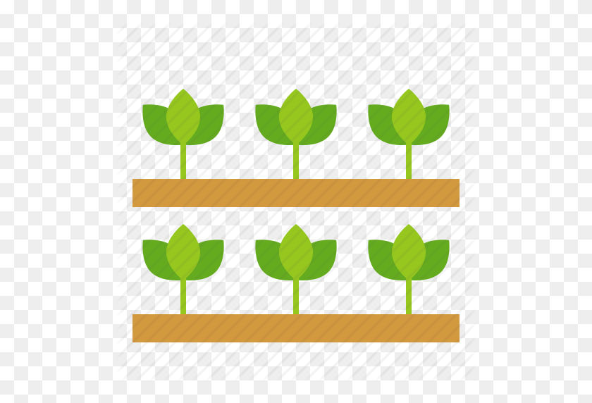 512x512 Agriculture, Farm, Field, Plant, Seedling, Sprout, Young Plant Icon - Seedling PNG