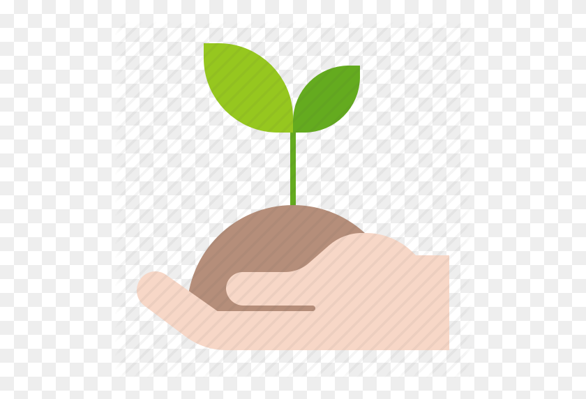 512x512 Agriculture, Farm, Plant, Seedling, Sprout, Young Plant Icon - Seedling PNG