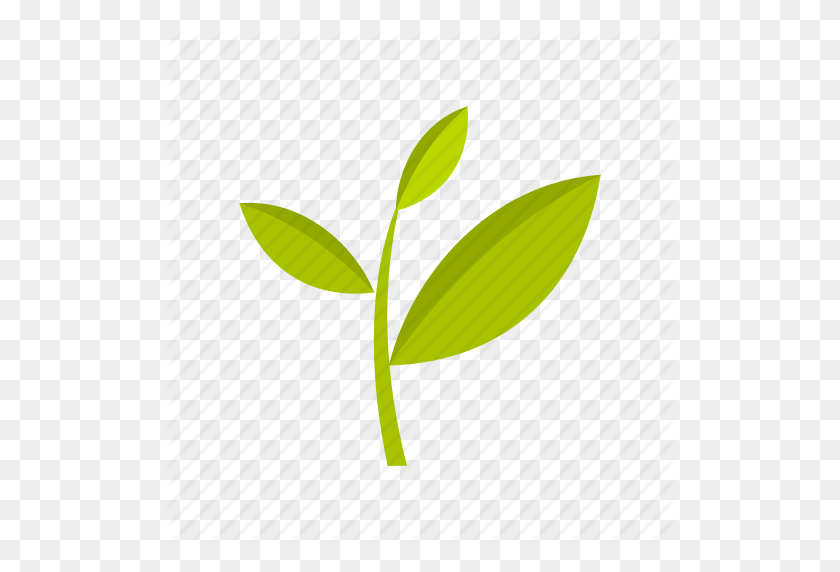 512x512 Agriculture, Leaf, Nature, Plant, Plantation, Tea, Tree Icon - Tea Leaf PNG