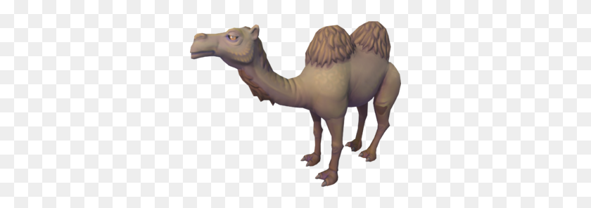 300x236 Al The Camel - Camel PNG