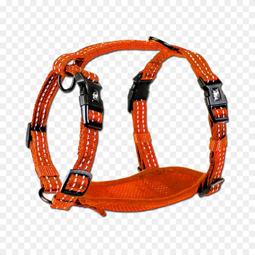 800x800 Alcott Reflective High Visibility Dog Harness Rs Solutions - Dog Collar PNG