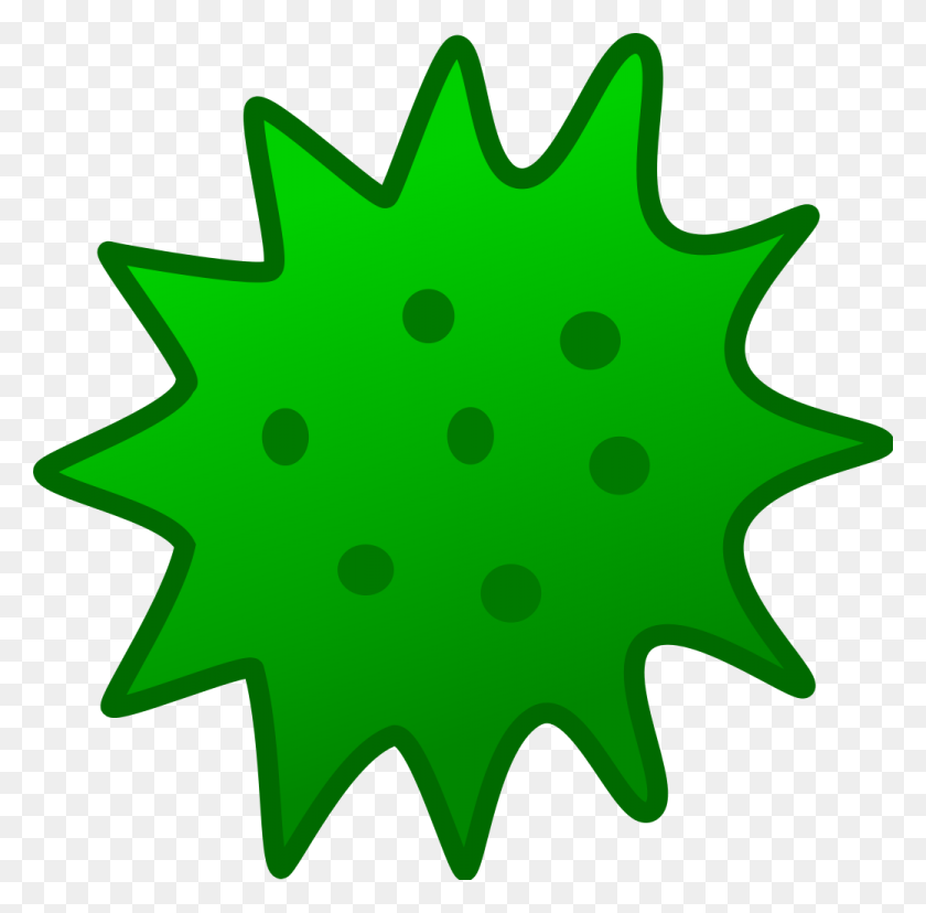 1039x1024 Algae Graphic - Algae PNG
