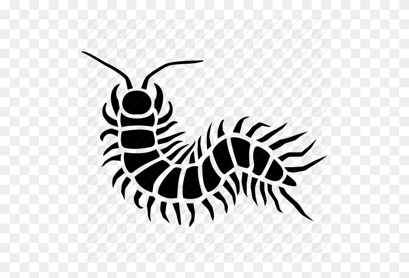 512x512 Alien, Arthropod, Bug, Centipede, Gross, Insect, Millipede Icon - Centipede PNG
