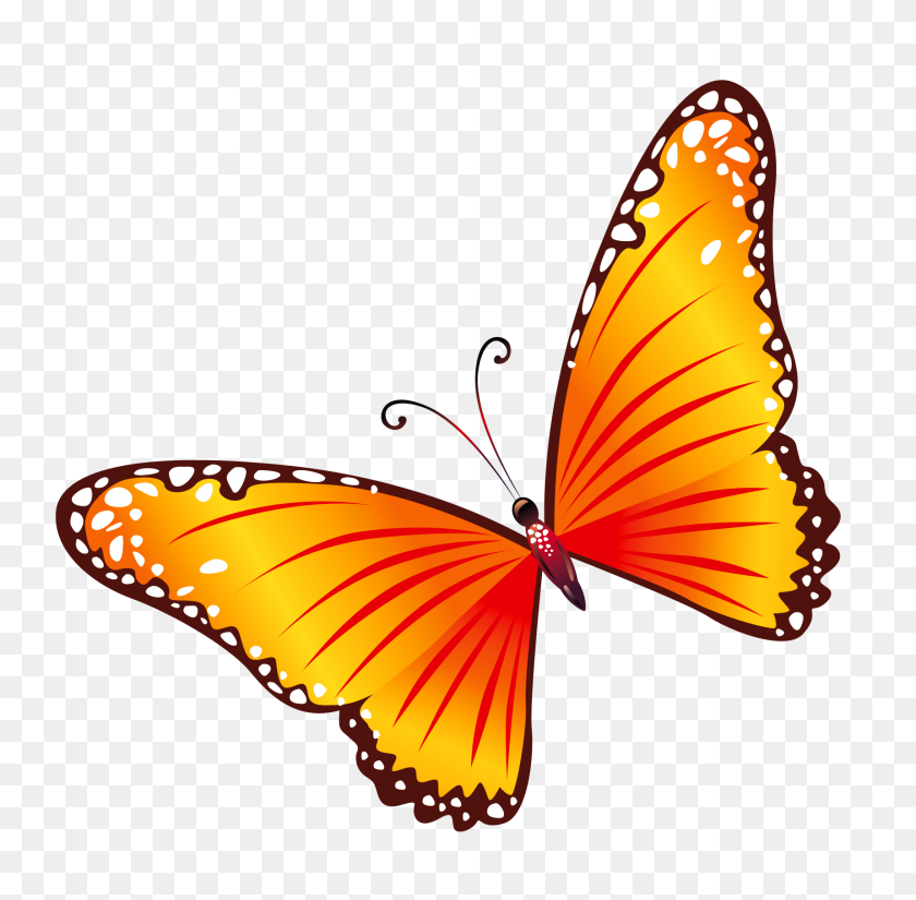 1717x1686 All Things Beautiful Butterfly - Оранжевая Бабочка Клипарт