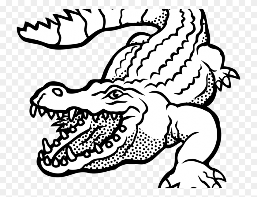 880x660 Alligator Clipart Images Black And White Free Download Png - Gator Clipart Black And White
