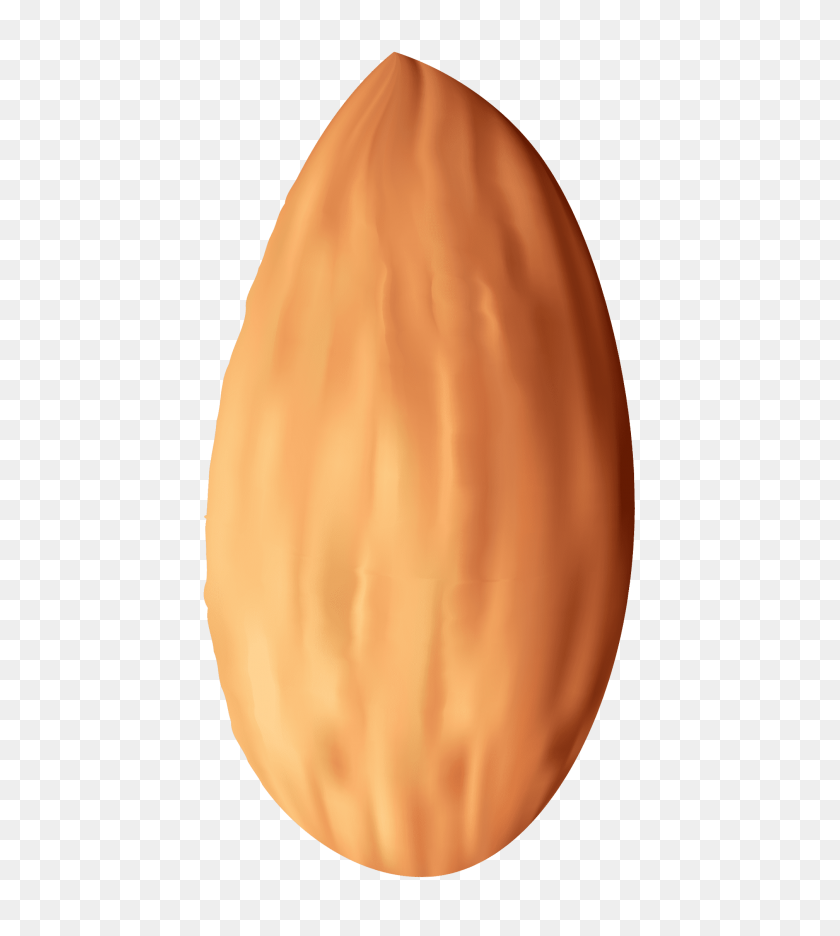 480x876 Almond Nut Png - Nut PNG
