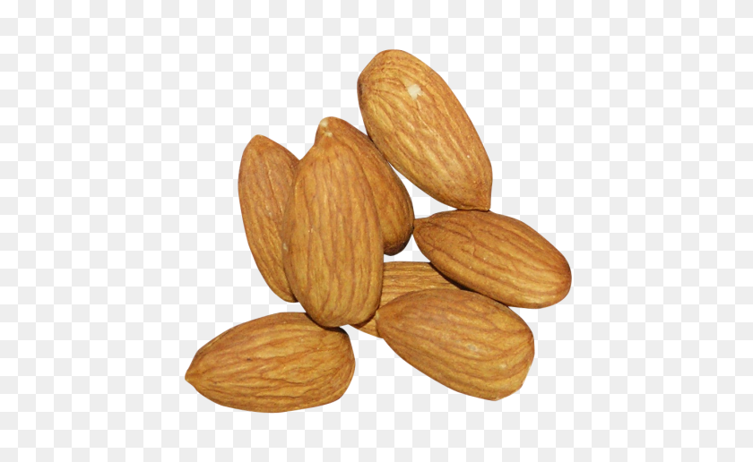 500x456 Almond Png Images Free Download - Seeds PNG