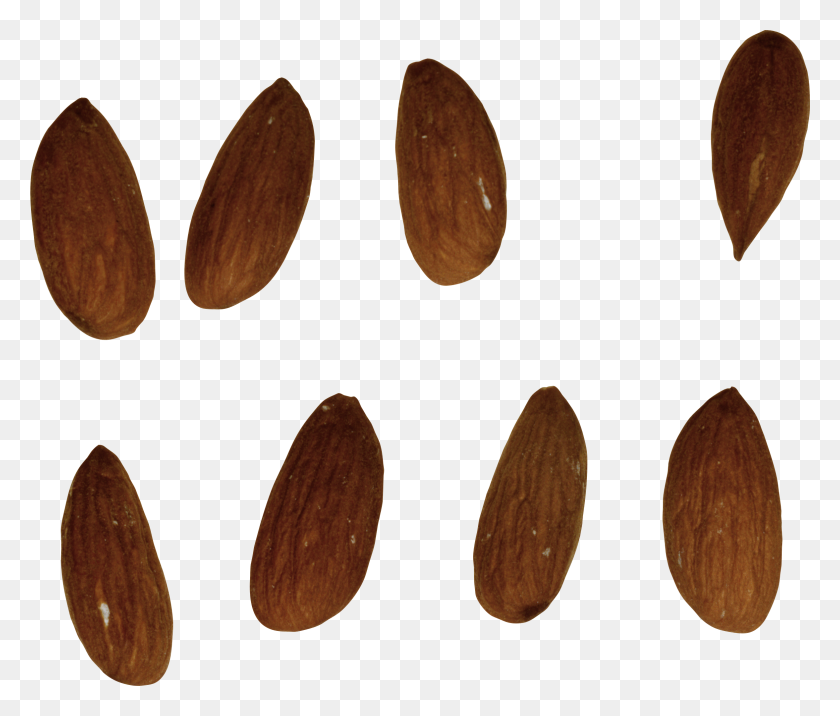 2354x1980 Almond Png Images Free Download - Almond PNG