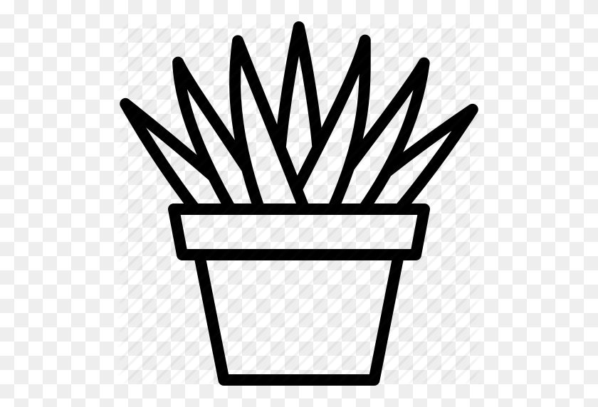Aloe, Aristata, Houseplant, Plant, Potted, Succulent, Succulents Icon - Succulent Clip Art