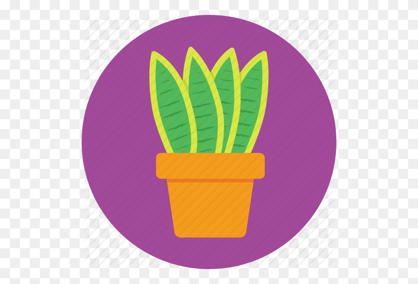 512x512 Aloe Vera, Garden, Plant, Pot, Succulent Icon - Succulent PNG