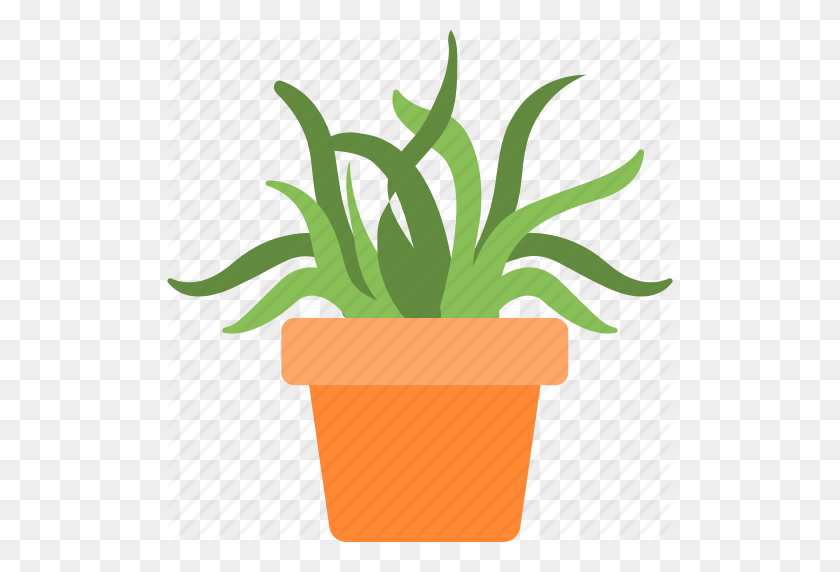 512x512 Aloe Vera, Garden, Plant, Pot, Succulent Icon - Aloe Vera Clipart