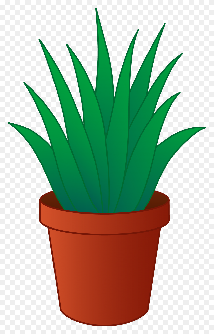 4752x7640 Planta De Aloe Vera En Maceta - Clipart De Maceta De Planta