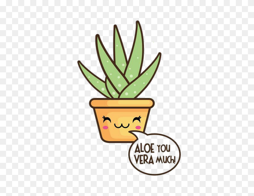 Aloevera Kawaii Plant Cute U Guys Reeeeal Aloe Vera Clipart