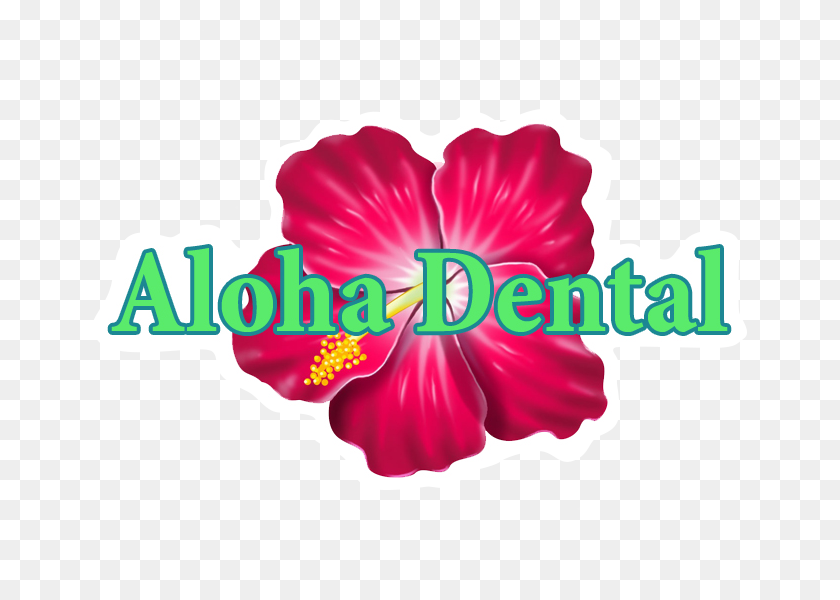 720x540 ¡Aloha! - Aloha Png