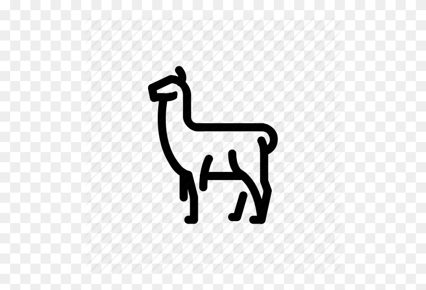 512x512 Alpaca, Animal, Llama Icono - Llama Llama Clipart