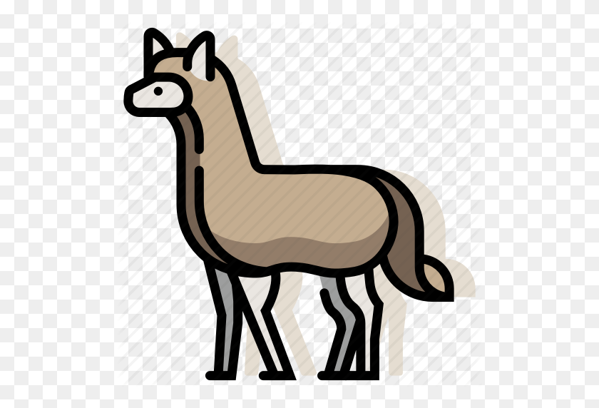 512x512 Alpaca, Animal, Llama, Mammal, Wildlife, Zoo Icon - Alpaca PNG