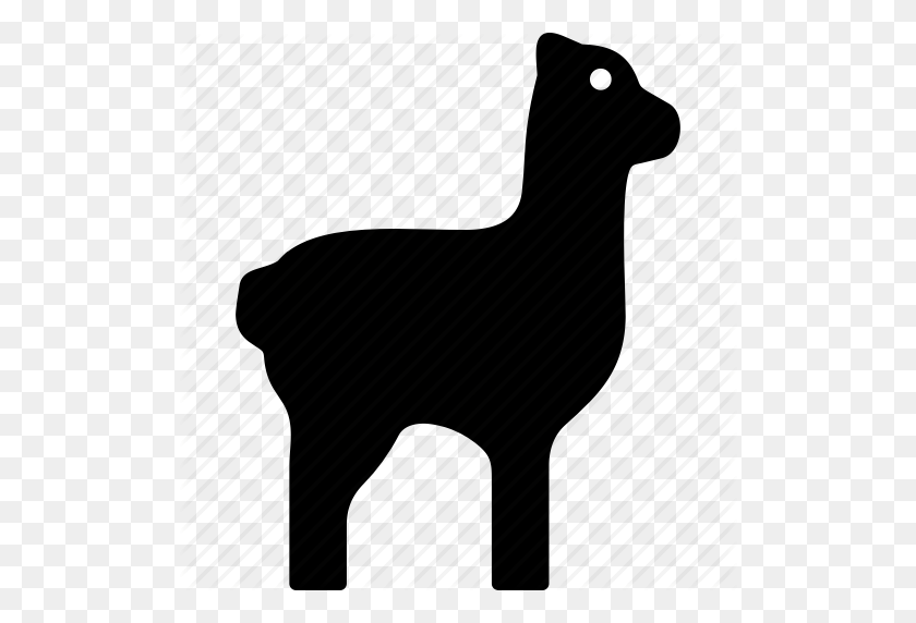 512x512 Alpaca, Glama, Lama, Llama Icono - Alpaca Png