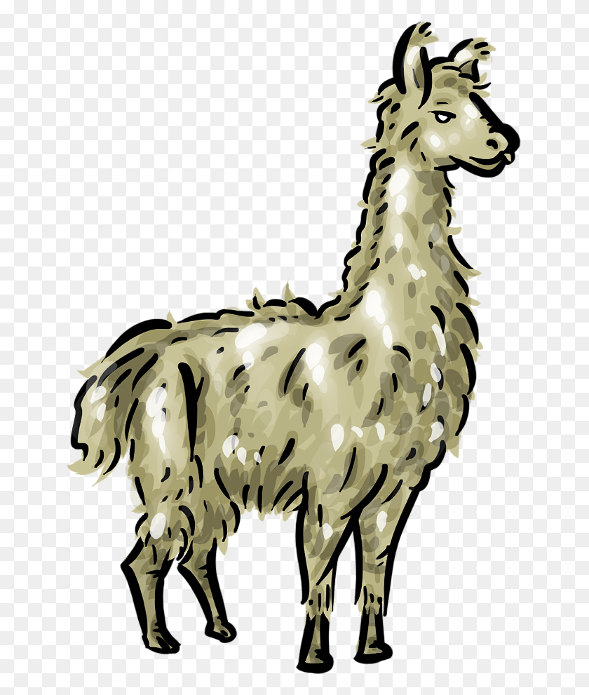 649x931 Alpaca Llama Animal Farm Furry Transparent Image Clip Art - Pencil Clipart Transparent