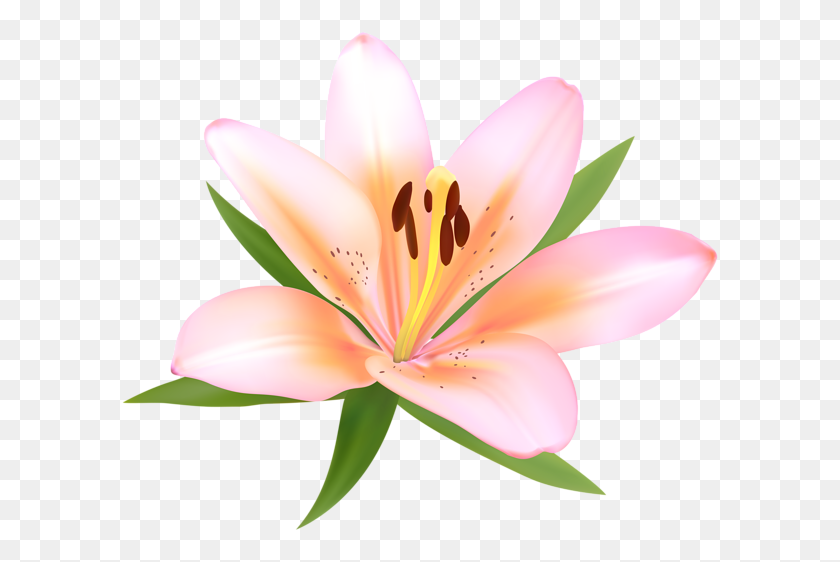 600x502 Alstroemeria Deco Flower Png Clip Art Image Aa Flores - Pollen Clipart