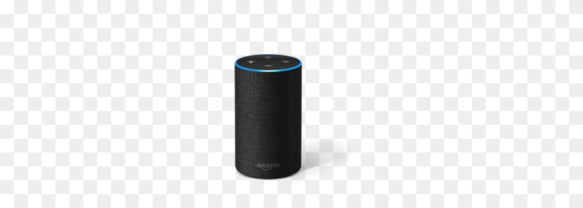 240x240 Amazon Echo И Echo Dot Уже В Продаже! Алекса В Канаде - Amazon Echo Png