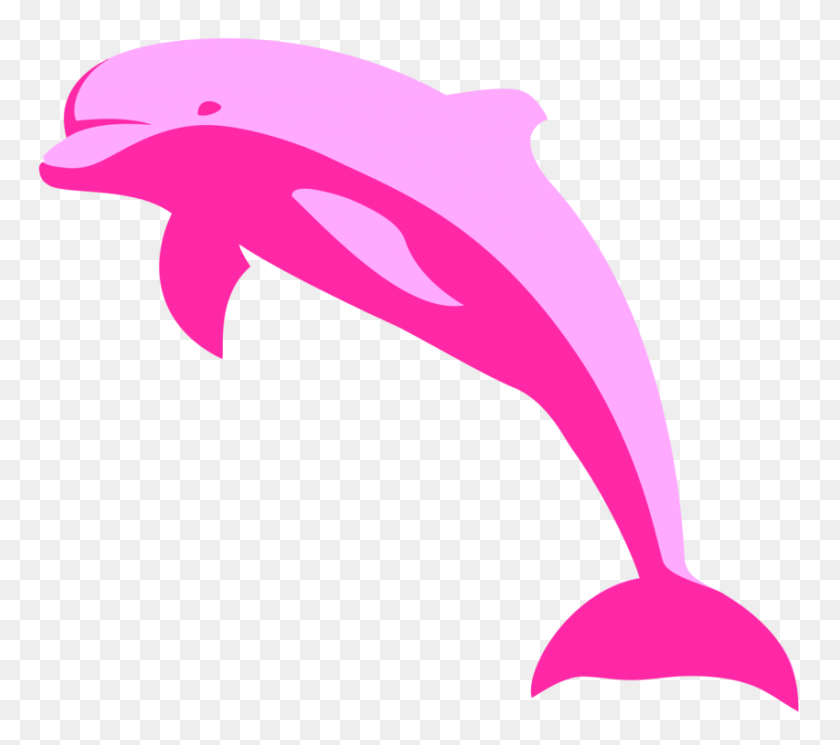 853x750 Дельфин Реки Амазонки Морская Свинья Tucuxi - Amazon Clipart