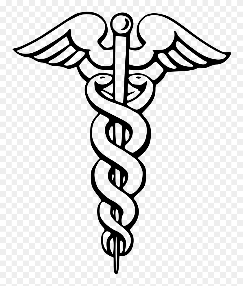 2016x2400 Ambulance Symbol With Snake Images - Ouroboros Clipart