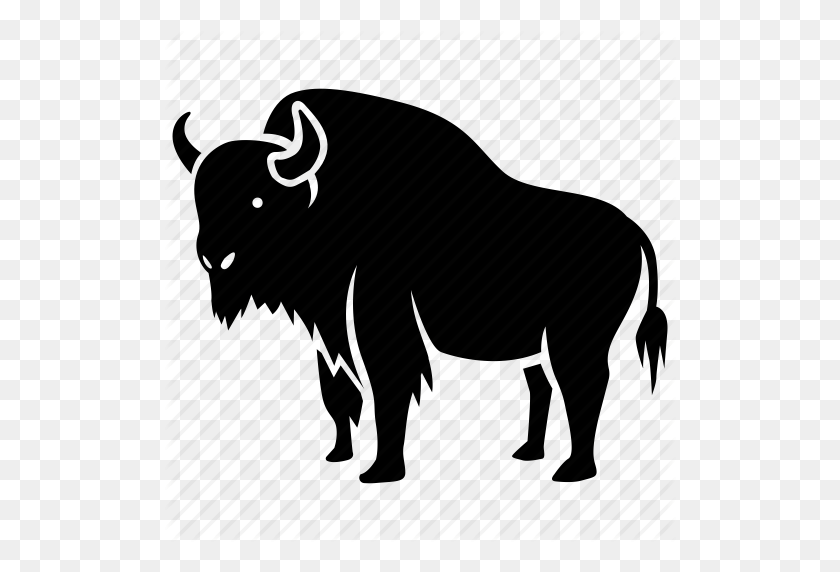 512x512 American, Bison, Bovine, Bull, European, Extinct, Hunting Icon - Bison PNG