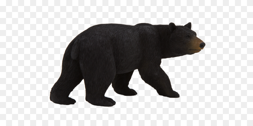 540x360 Американский Черный Медведь - Черный Медведь Png