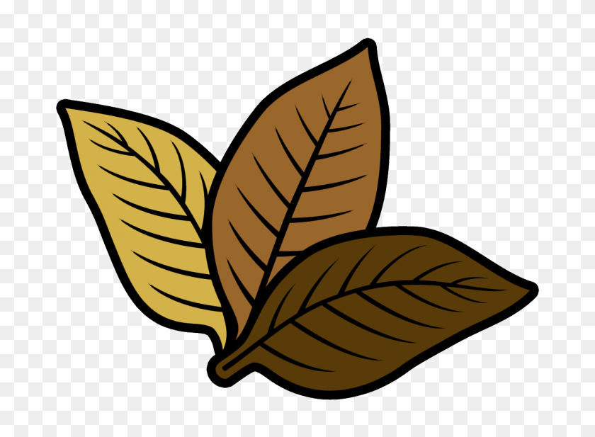 1260x900 American Blends - Tobacco Leaf Clipart