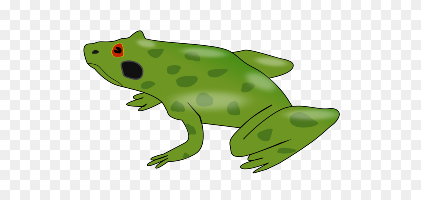 544x340 American Bullfrog Edible Frog Cartoon Drawing - Bullfrog Clipart