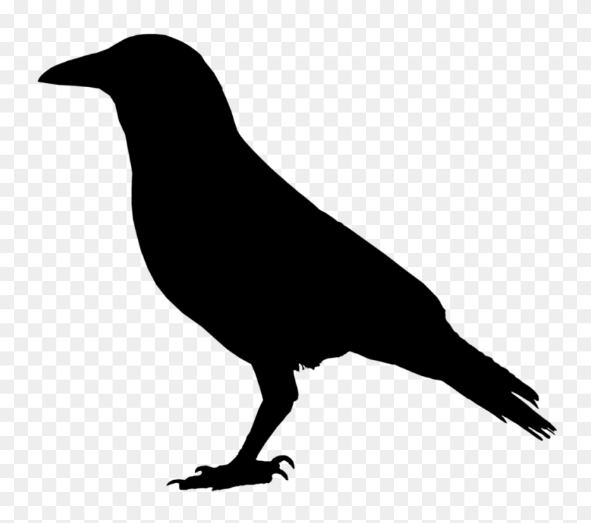 954x837 American Crow Raven Cornell Lab Of Ornithology Clipart - Black Lab Imágenes Prediseñadas