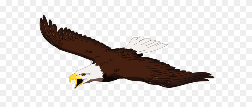 600x296 Американский Орел Картинки Теги Летающая Птица Летать С Крыльями Черного Орла - Летать Клипарт