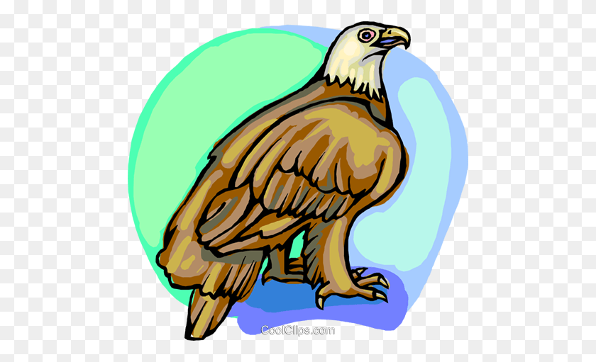 480x451 Ilustración De Imágenes Prediseñadas De Vector Libre De Regalías De Águila Americana - Vector De Imágenes Prediseñadas De Águila