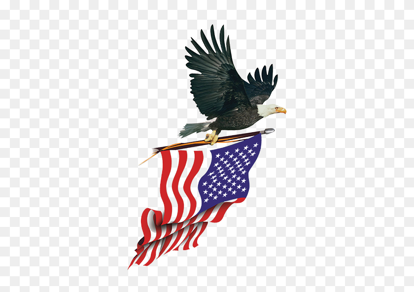 450x532 American Flag With Eagle Eagle Carrying American Flag T Shirts - American Eagle PNG