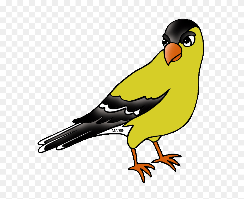 648x624 American Goldfinch Cliparts - United States Of America Clipart